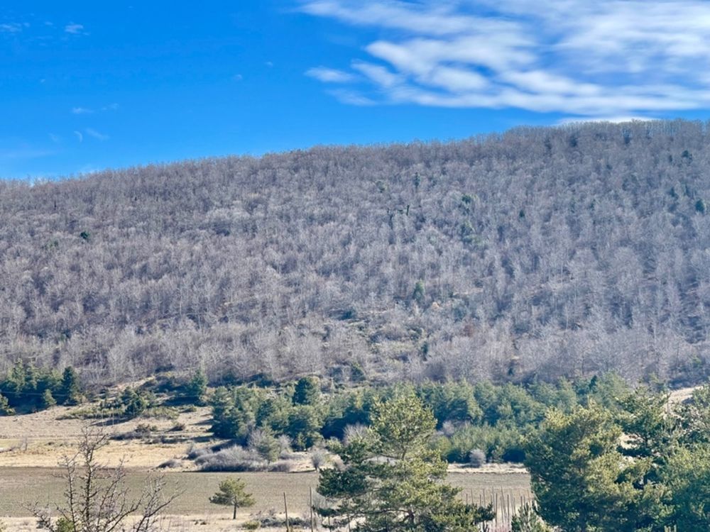 � vendre  Propri�t�/ch�teau Lagarde-d'Apt (84400)