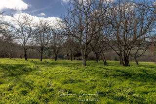  Remise / Grange � vendre 1 pi�ce 210 m�