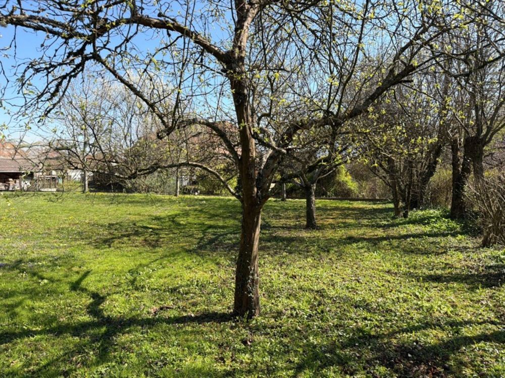 � vendre  Maison Annecy (74000)