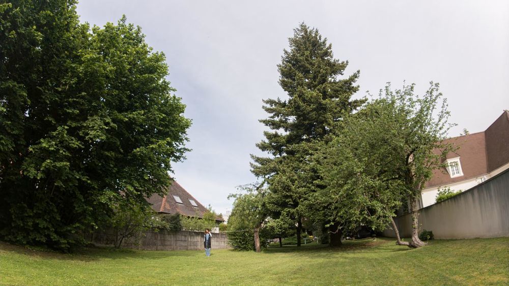 � vendre  Maison Villiers-sur-Marne (94350)