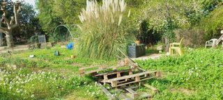  Terrain � vendre 497 m�