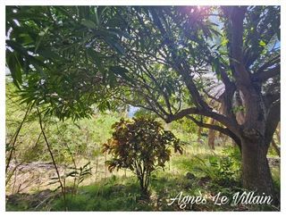  Terrain � vendre 1501 m�