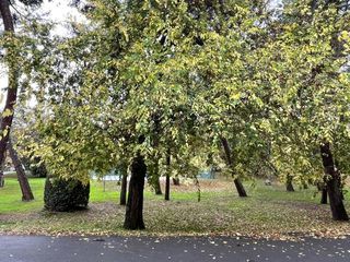  Appartement � vendre 2 pi�ces 35 m�