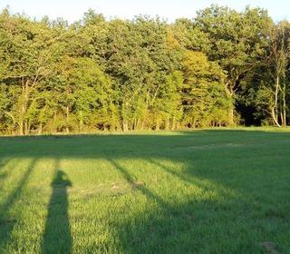  Propri�t�/ch�teau � vendre 8 pi�ces 320 m�