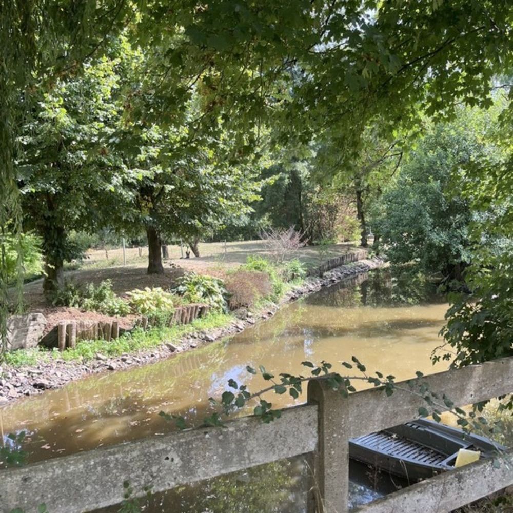 � vendre  Propri�t�/ch�teau Rocheservi�re (85620)