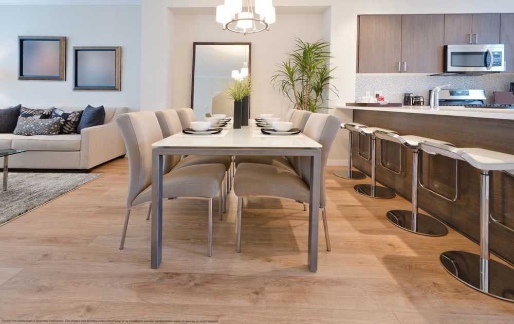   Enghien-les-Bains (95880)