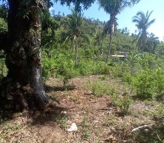  Terrain � vendre 596 m�