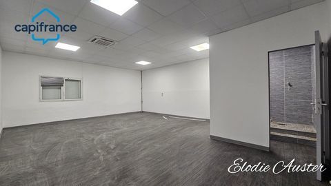 Local/bureau &agrave; louer LES ABYMES (971) 9000 97139 Les abymes