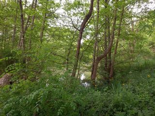  Terrain � vendre 405 m�