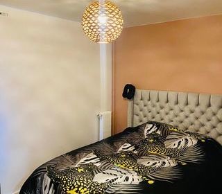  Appartement � louer 1 pi�ce 12 m�