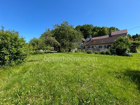   VIEUX-FERRETTE, propri�t� compos� de 2maisons, dont une lou�e, sur 17.37ares. Enorme potentiel. Emplacement magnifique! Maison - 6 pi�ce(s) - 175 m�