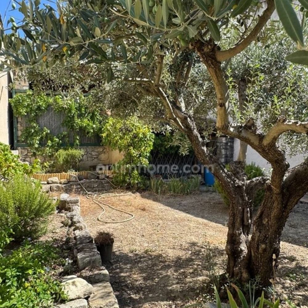 � vendre  Maison Saint-R�my-de-Provence (13210)