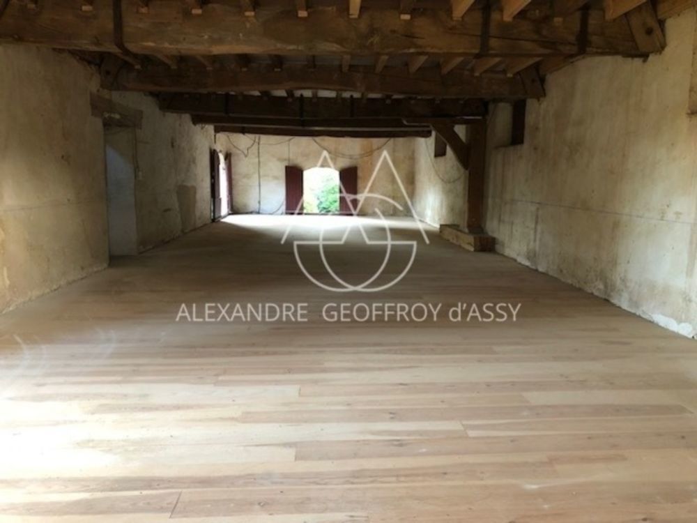 � vendre  Propri�t�/ch�teau Habas (40290)