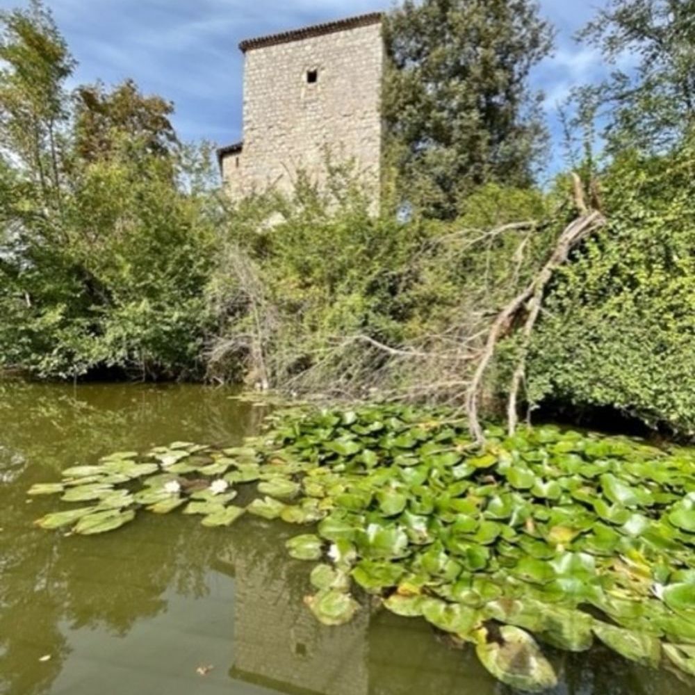 � vendre  Propri�t�/ch�teau Condom (32100)