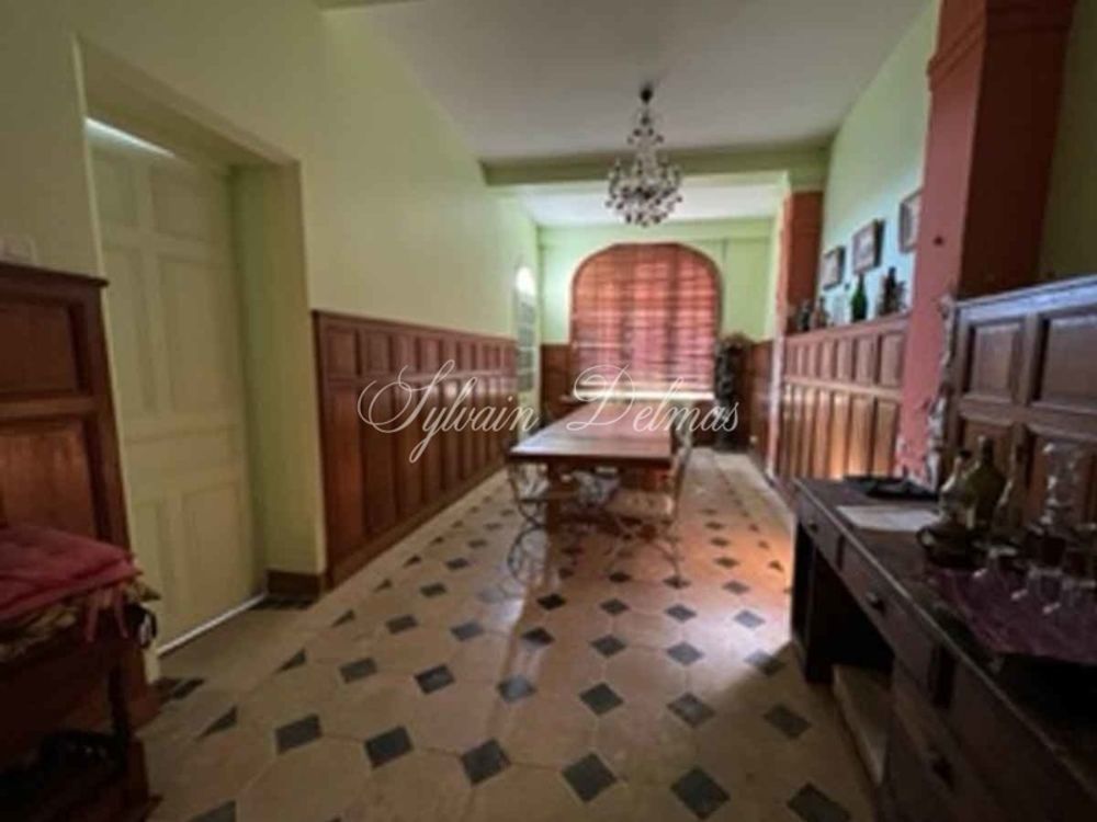 � vendre  Propri�t�/ch�teau Amboise (37400)