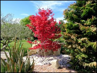  Maison � vendre 5 pi�ces 174 m�