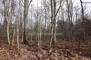  Terrain � vendre 37401 m�