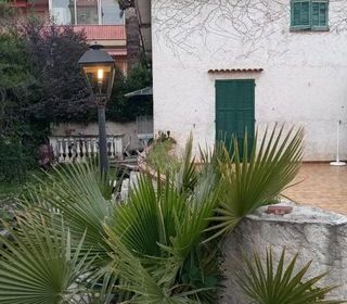  Appartement � louer 1 pi�ce 14 m�