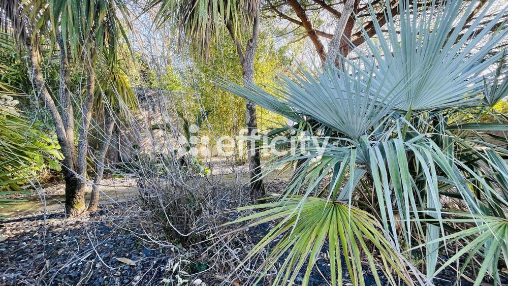 � vendre  Maison Saint-Georges-d'Ol�ron (17190)