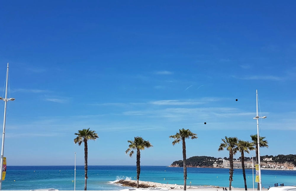 � vendre  Villa Six-Fours-les-Plages (83140)