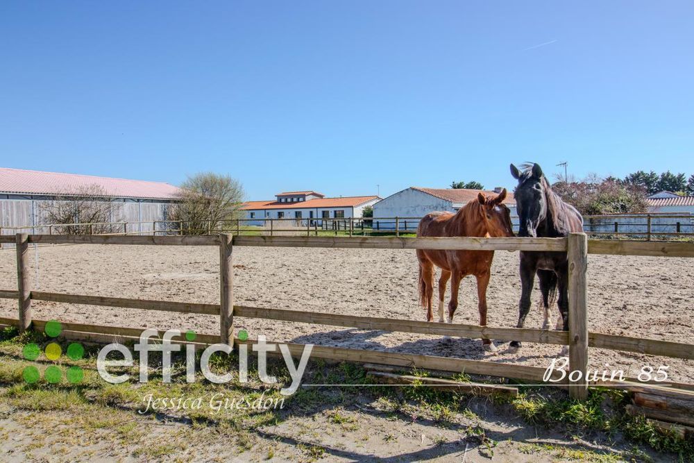 � vendre  Maison Bouin (85230)