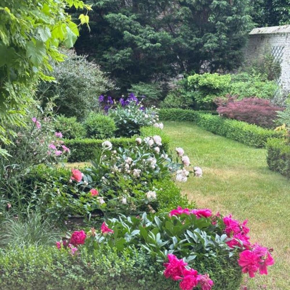 � vendre  Maison Lille (59000)