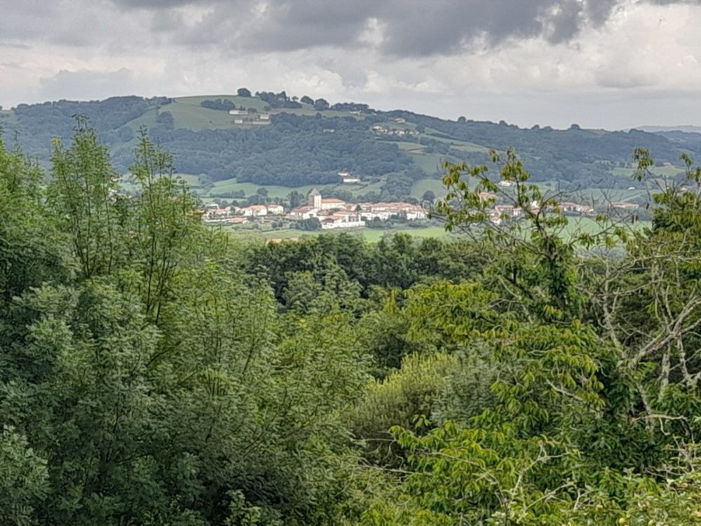 � vendre  Propri�t�/ch�teau Sare (64310)