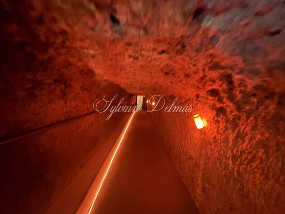 � vendre  Propri�t�/ch�teau Amboise (37400)