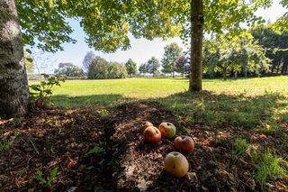  Propri�t�/ch�teau � vendre 10 pi�ces 413 m�