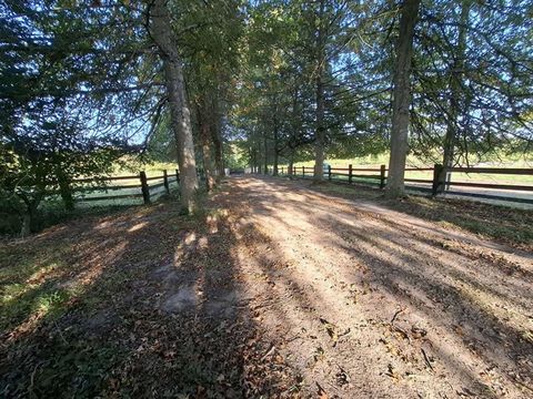   Propri�t� �questre Proche Mortagne Au Perche 195 m2 + 29 hectares de terrain Maison - 11 pi�ce(s) - 195 m�