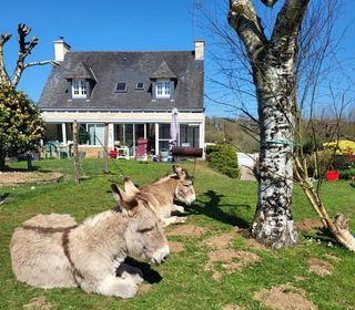  Maison � vendre 6 pi�ces 128 m�