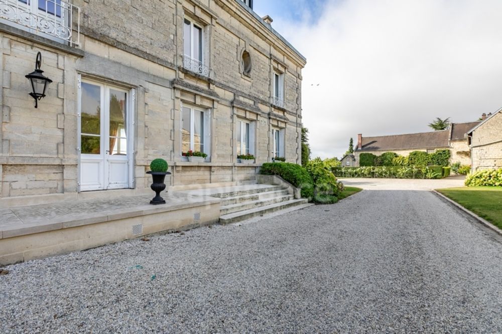 � vendre  Propri�t�/ch�teau Soissons (02200)