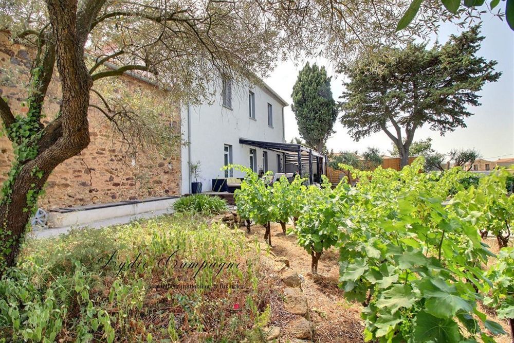 � vendre  Propri�t�/ch�teau Saint-Andr�-de-Roquelongue (11200)