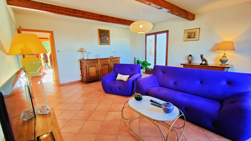 � vendre  Propri�t�/ch�teau Cateri (20225)