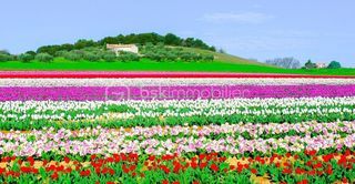  Terrain � vendre 418 m�