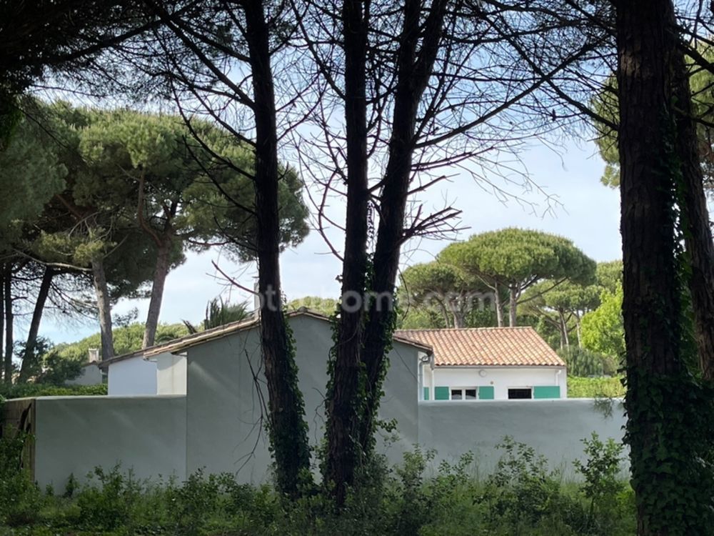 � vendre  Maison Le Bois-Plage-en-R� (17580)