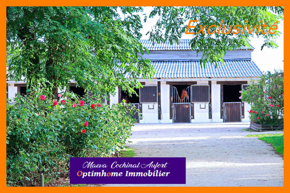 � vendre  Propri�t�/ch�teau Verneuil-sur-Avre (27130)