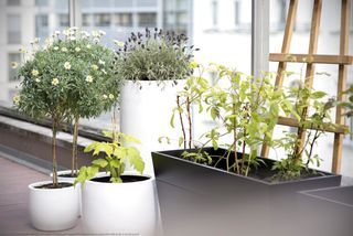  Appartement � vendre 2 pi�ces 47 m�