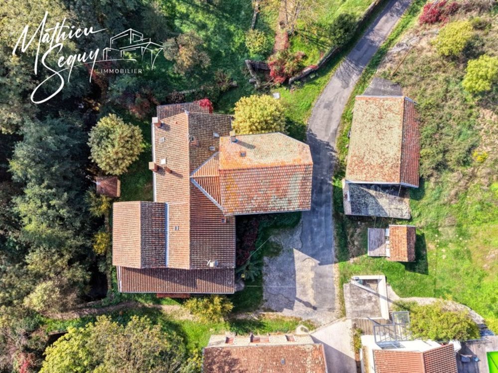 � vendre  Propri�t�/ch�teau Messimy (69510)