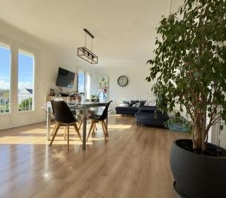  Maison � vendre 6 pi�ces 110 m�