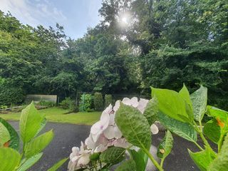  Appartement � louer 1 pi�ce 28 m�