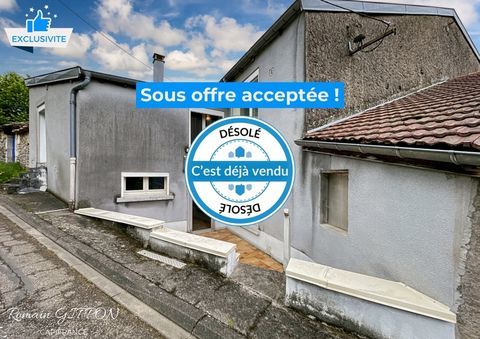   Dpt Meurthe et Moselle (54), � vendre VANNES-LE-CHATEL maison P5 Maison - 5 pi�ce(s) - 134 m�