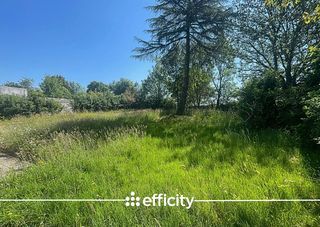 Terrain � vendre 501 m�