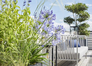  Appartement � vendre 4 pi�ces 130 m�