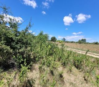  Terrain � vendre 1075 m�