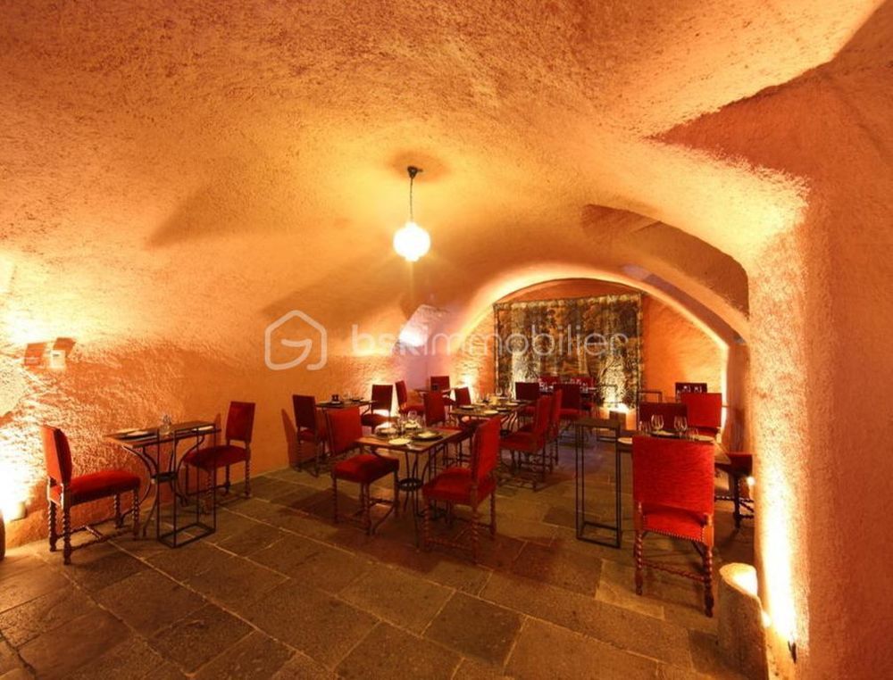� vendre  Propri�t�/ch�teau Saint-Flour (15100)