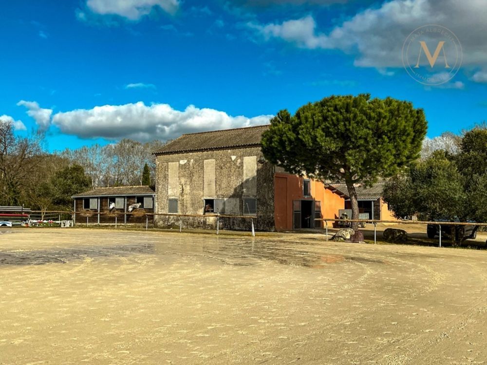 � vendre  Propri�t�/ch�teau Moissac (82200)