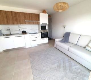  Appartement � vendre 3 pi�ces 45 m�