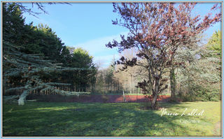  Maison � vendre 12 pi�ces 343 m�