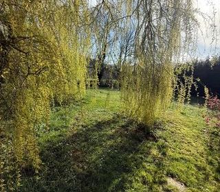  Maison � vendre 10 pi�ces 215 m�